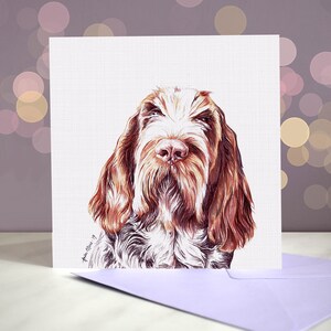 Biglietto d'auguri per Spinone Italiano / Interno vuoto / Biglietto del cane / Per toelettatori, veterinari e amanti della razza