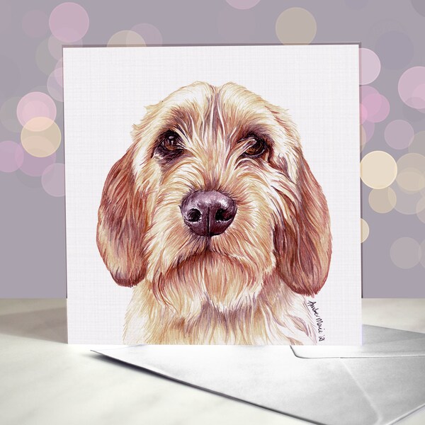 Basset Fauve de Bretagne Greeting Card / Blank Inside / For Groomers, Vets and Breed Lovers