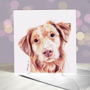Biglietto d'auguri per Nova Scotia Duck Tolling Retriever / Toller - Cane da caccia - Biglietto del cane / Per toelettatori, veterinari e amanti della razza