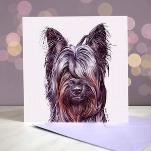 Biglietto di auguri Skye Terrier / Interno vuoto / Orecchie pendenti / Skye color crema, grigio scuro, argento e nero / Per toelettatori, veterinari e amanti della razza