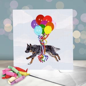 Biglietti di auguri per compleanno Australian Cattle Dog / Biglietto di auguri per cane ACD Heeler / Cane da lavoro / Interno vuoto / Biglietto del cane