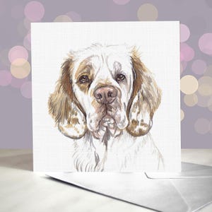 Cartão de felicitações Clumber Spaniel / Em branco por dentro do cão / Para tratadores, veterinários e amantes da raça