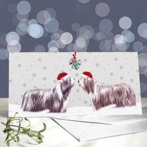 Cartes de voeux de Noël de Bearded Collie / Gardiens de bétail poilu / Race de troupeau / Intérieur vierge / Carte du chien / Voeux de vacances