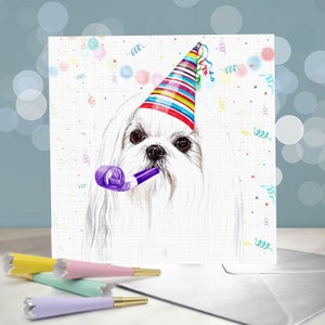 Biglietti di auguri di compleanno maltesi / Razza giocattolo bianca / Interno vuoto / Biglietto dal cane