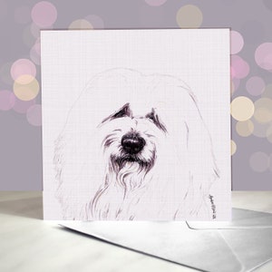 Peut inclure: Un dessin au crayon noir et blanc d'un chien blanc à la fourrure duveteuse. Le chien regarde directement le spectateur, la tête légèrement inclinée sur le côté.