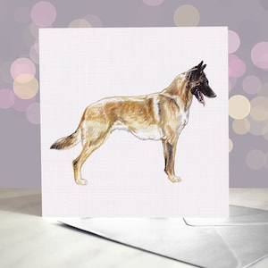 Berger belge / Malinois / Carte de voeux Mally Berger allemand / Intérieur vierge / Carte du chien / Pour les toiletteurs, les vétérinaires et les amateurs de races
