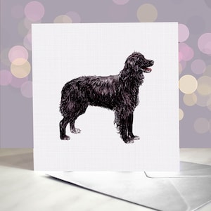 Carte de voeux visage lisse de berger des Pyrénées / Visage rasé / Chien de berger des Pyrénées / Intérieur vierge / Carte du chien de berger / Petit Berger