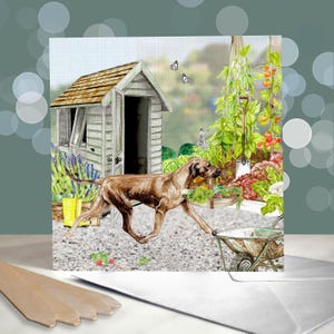 Cartes de fête des pères chien Rhodesian Ridgeback - carte chien pour papa - cadeaux pour parents d'animaux de compagnie - carte papa chien - carte papa chien - fête des pères papa chien