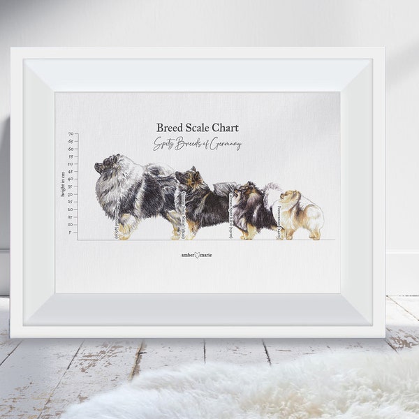 German Spitz Breed Scale Poster - Keeshond, Spitz Mittel, Spitz Klein and Pomeranian / Pedigree Dog Wall Art / Dog Poster Print / Dog Nerd