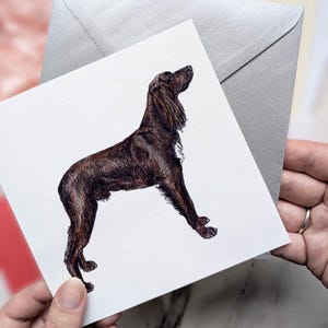 Deutsch Langhaar Pointer Grußkarte - Groomer, Tierärzte und Tierliebhaber