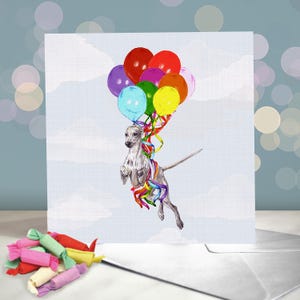 Tarjeta de felicitación de galgo italiano / Tarjeta de cumpleaños de Iggy Dog / Interior en blanco / Tarjeta del perro / Piccolo levriero Italiano / Lebrel italiano