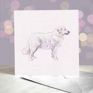 Kuvasz Hund Grußkarte Kuvasz / ungarisch Kuvasz Karte / Innenseite blanko / Karte vom Hund / Für Groomers, Tierärzte und Rasseliebhaber