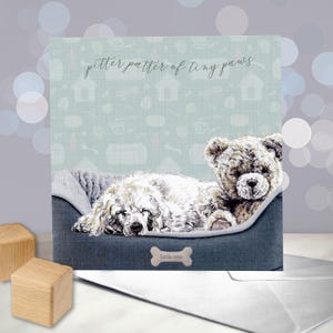 Barboncino - Biglietto di auguri per il nuovo cucciolo - Congratulazioni per il tuo arrivo - Biglietto di auguri per il nuovo bambino - Annuncio di nascita - Pitter Patter - Barboncino bianco standard