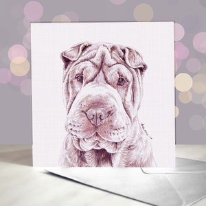 Carte de voeux Shar Pei / Intérieur vierge / Carte du chien / Pour les toiletteurs, les vétérinaires et les amateurs de races