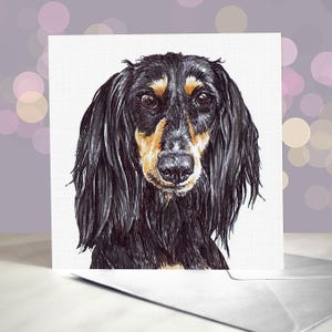 Saluki Hund Grußkarte / Lurcher / Windhund / Gazelle Hund / Innenseite blanko / Karte vom Hund / Für Groomers, Tierärzte und Rasseliebhaber