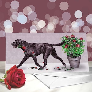 Labrador - verscheidenheid aan Black Lab-verjaardags- en valentijnskaarten - I Love You-kaart voor hondenliefhebbers - Funny Valentine van de hond