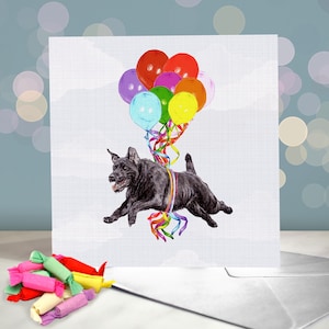 Biglietti d'auguri per Patterdale Terrier - Varietà di biglietti d'auguri per Patt Terrier / Interno vuoto / Biglietto del cane / Terrier a pelo ruvido