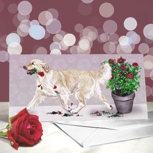 Golden Retriever - Variedad de tarjetas de aniversario y de San Valentín - Tarjeta de "Te amo" para amantes de los perros - Divertido San Valentín de parte del perro - Regalo para perros de caza