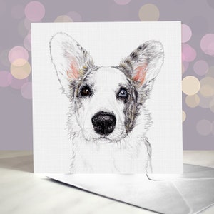 Cardigan gallois Corgi - carte de voeux bleu merle et duvet / intérieur vierge / carte du chien / pour les toiletteurs, les vétérinaires et les amateurs de races