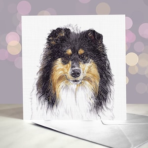 Biglietto d'auguri vuoto Rough Collie - Varietà di biglietti Collie / Biglietto dal cane / Per toelettatori, veterinari e amanti della razza / Blue Merle e Sable