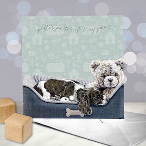 Épagneul Springer - Carte pour nouveau chiot - Félicitations pour votre nouvelle arrivée - Carte pour un nouveau bébé - Faire-part de naissance - Petits petits pattes