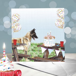 Biglietto di auguri di compleanno per pastore belga Malinois / Interno vuoto / Biglietto del cane / Per toelettatori, veterinari e amanti della razza