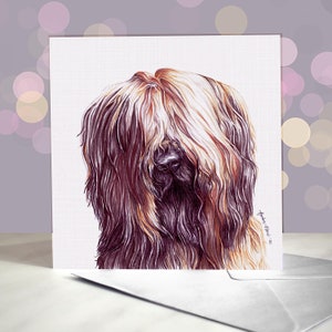 Briard-wenskaart / reekleurig / zwart / blanco binnenkant / kaart van de hond / voor trimmers, dierenartsen en liefhebbers van rassen
