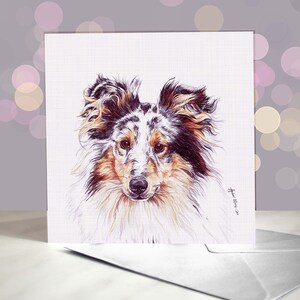 Blue Merle / Sable Sheltie / Shetland Sheepdog Greeting Card - Blank Inside / Card from the Dog / For Groomers, Vets and Breed Lovers