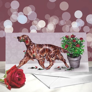 Setter irlandese rosso - Varietà di biglietti di anniversario per cani da caccia Setter - Ti amo per gli amanti dei cani - Divertente biglietto di San Valentino dal cane