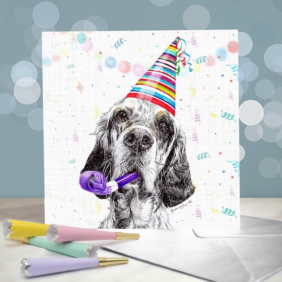 English Setter Greeting Cards / Blank Inside / Blue Tricolour Orange Belton Gundogs / Card from the Dog
