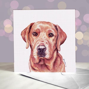 Carte de voeux renard Labrador rouge / Intérieur vierge / Carte du chien / Pour les toiletteurs, les vétérinaires et les amateurs de races