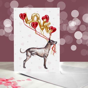 Tarjeta de Xoloitzcuintle - Variedad de tarjetas de aniversario de Xolo - Tarjeta de "Te amo" para los amantes de los perros sin pelo mexicanos - Divertido San Valentín de parte del perro