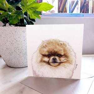 Pomeranian Greeting Card / Blank Inside / Card from the Dog / For Groomers, Vets and Breed Lovers
