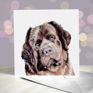Newfoundland Dog Birthday Greeting Card/ Black Newfie / Blank Inside / Card from the Dog / For Groomers, Vets and Breed Lovers