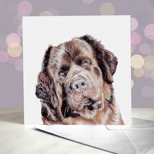 Carte de voeux d'anniversaire de chien de Terre-Neuve / Newfie noir / Intérieur vierge / Carte du chien / Pour les toiletteurs, les vétérinaires et les amateurs de races