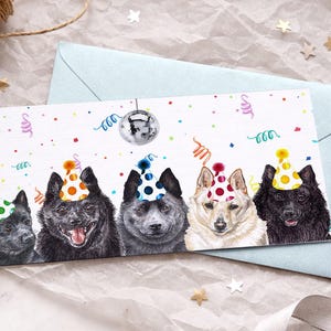 Schipperke verjaardagskaarten / Black Spitz hoedende hondenliefhebber / Blanco binnenkant / Kaart van de hond