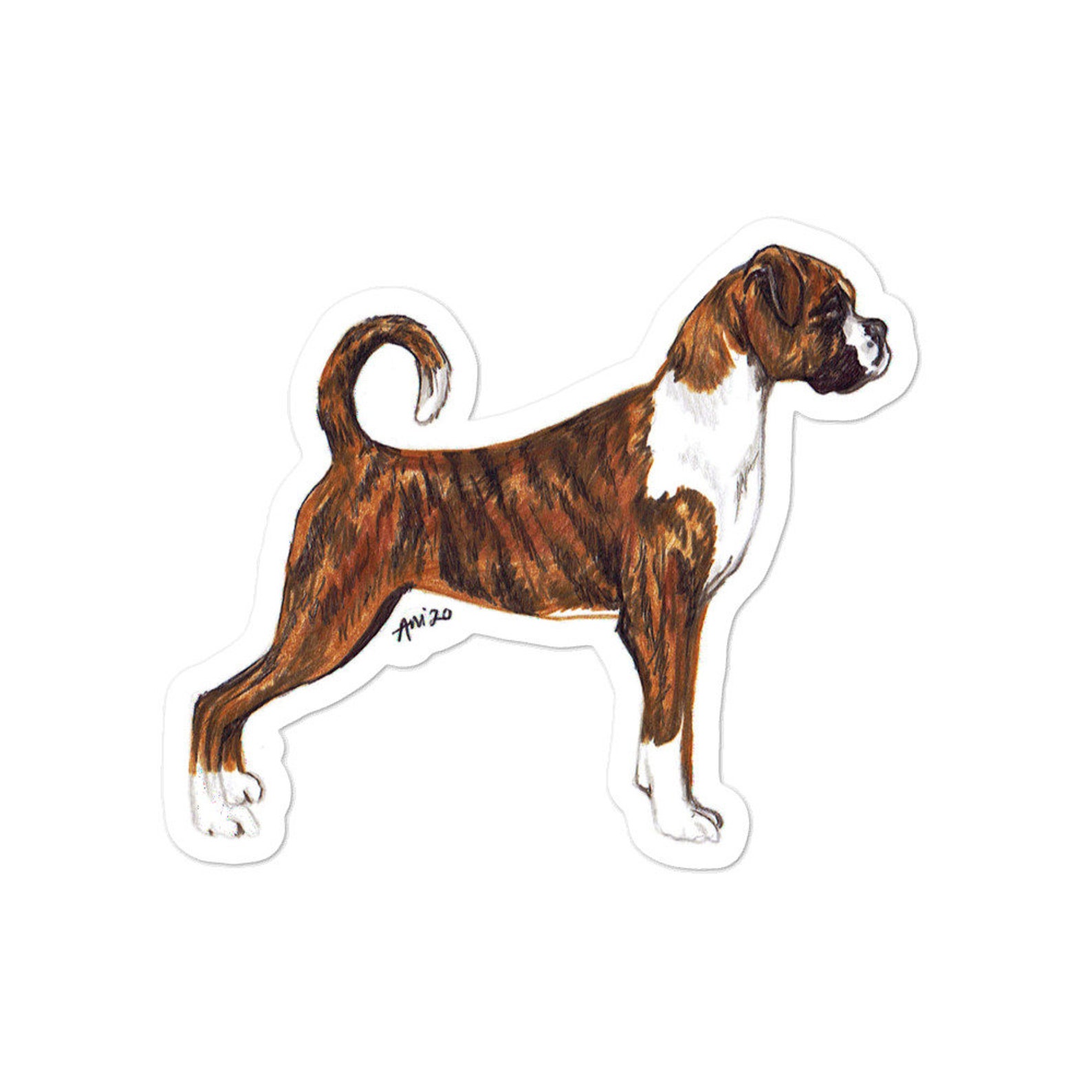 Sticker Boxer Dog Brindle Breed Conformation Shapes Etsy