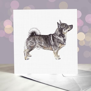 Schwedischer Vallhund Grußkarte / Innen leer / Karte vom Hund / Für Groomers, Tierärzte und Rasseliebhaber