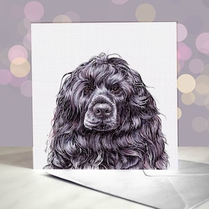 Cane d'acqua portoghese / Riccio nero / Biglietto d'auguri / Interno vuoto / Per toelettatori, veterinari e amanti della razza