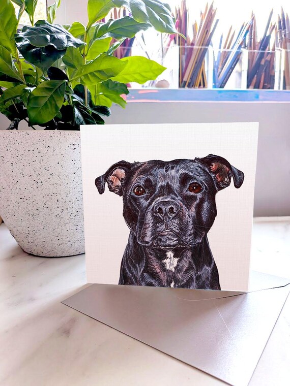 STAFFE / STAFFORDSHRE Bull Terrer Greetngs Card Cute Prnted
