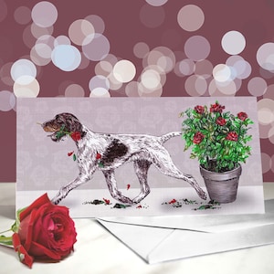 Carte de voeux allemande à poil dur - Variété de cartes d'anniversaire GWP - Je t'aime carte pour les amoureux des chiens - Funny Valentine from the Dog