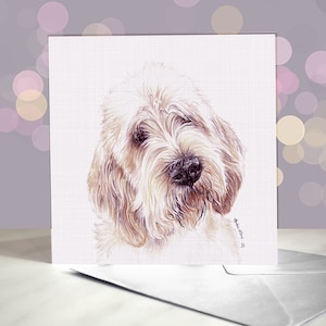 Petit Basset Griffon Vendéen / französischer Windhund Grußkarte / französischer Windhund / innen leer / für Tierpfleger, Tierärzte und Tierliebhaber