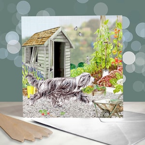 Bearded Collie Hund Vatertagskarten - Beardiehundekarte für Papa - Haustier-Eltern-Geschenke - Schäferhund-Karte - Hundepapa-Karte - Hundepapa-Vatertag
