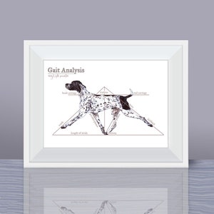 Your favourite breed anatomy print - gait analysis of a dog - body conformation - groomer gift - Other Breeds Available