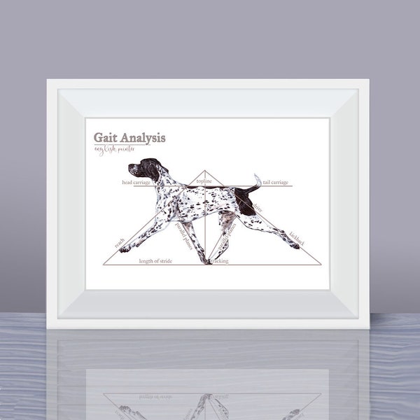 Your favourite breed anatomy print - gait analysis of a dog - body conformation - groomer gift - Other Breeds Available