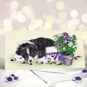 Tarjeta Border Collie - Variedad de tarjetas del Día de las Madres de Perros Collie - Tarjeta de Pascua para Perros - Regalos para Padres de Mascotas - Regalo para los Amantes de los Perros Pastores - Tarjeta de Mamá Perro
