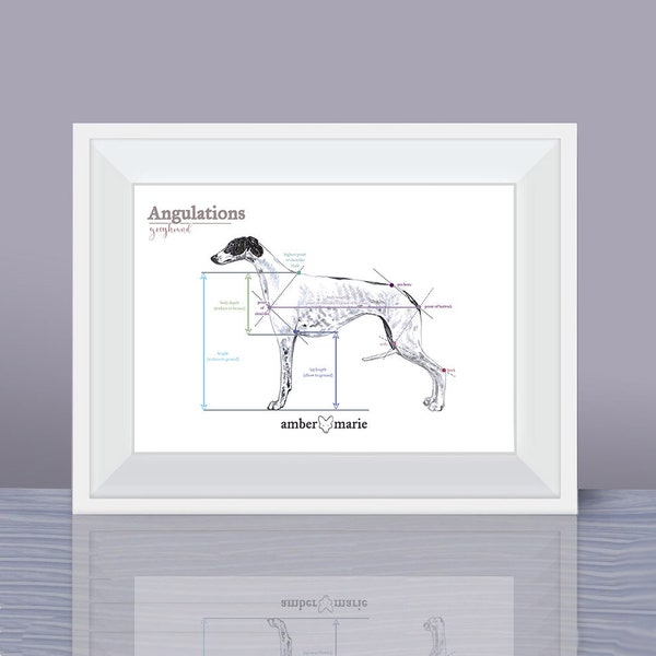 Your favourite breed anatomy print - angulations on a dog - body conformation - vet and groomer gift - Other Breeds Available