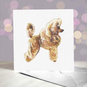 Zwergpudel Grußkarten - Schwarzer Mini Pudel / Roter Mini Hund Grußkarte / Innenseite leer / Karte vom Hund / Geschenk für Hundepfleger
