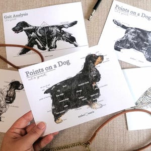 Your favourite breed anatomy print - points on a dog - body conformation - vet and groomer gift - Other Breeds Available