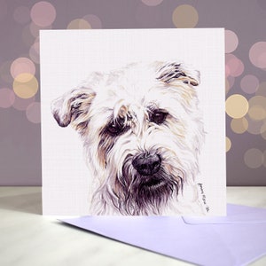 Glen of Imaal Terrier-wenskaart/blauwe en tarwekleurige blanco binnenkant/kaart van de hond/voor trimmers, dierenartsen en liefhebbers van rassen